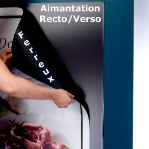 Rouleau formats magnétique double aimantation